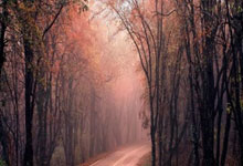 看了天涯情感论坛这篇帖子，才发现这些情感误区实在是太坑了！