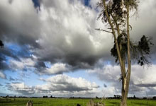 看了天涯情感论坛这篇帖子，才发现这些情感误区实在是太坑了！