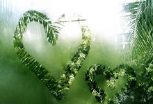 直肠癌肝转移天涯社区求助：一个患者的坚强求生存