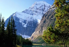 盘点天涯神贴排行榜上的那些让人意想不到的故事！你还记得那些藏在天涯论坛角落里笑到肚子痛的帖子吗？让我们一起来回顾一下天涯神贴排行榜上的那些神贴吧！