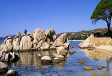 盘点天涯神贴排行榜上的那些让人意想不到的故事！你还记得那些藏在天涯论坛角落里笑到肚子痛的帖子吗？让我们一起来回顾一下天涯神贴排行榜上的那些神贴吧！